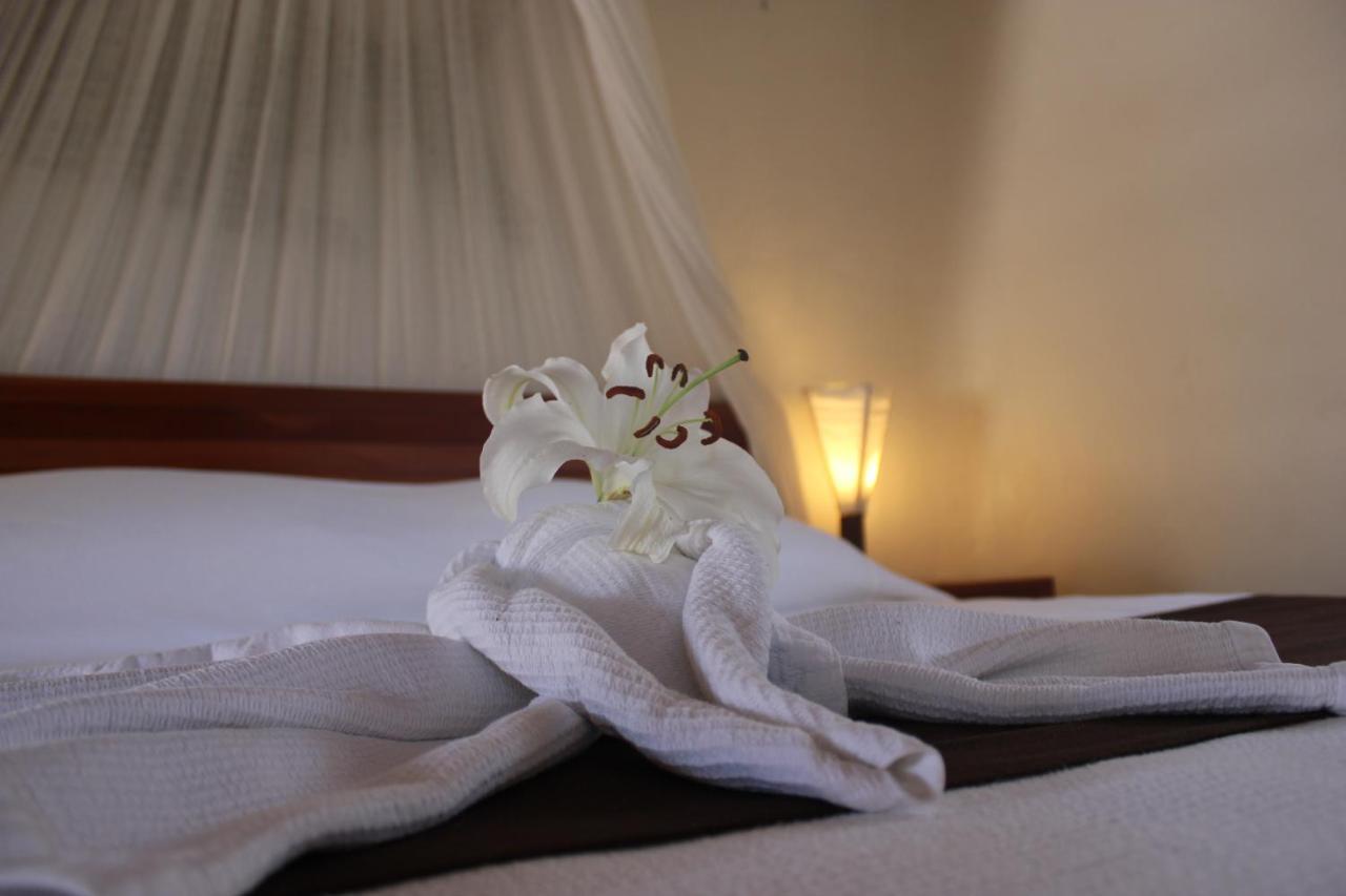 Hotel Piedra Escondida 图卢姆 外观 照片